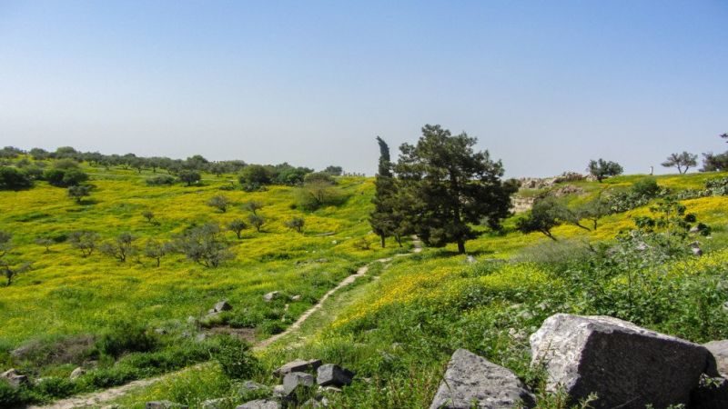 الطقس: أجواء ربيعية دافئة وارتفاع تدريجي على الحرارة