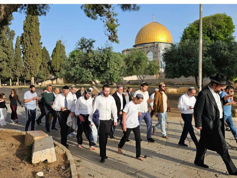 محافظة القدس تحذر من أخطر تصعيد لتكريس سيادة الاحتلال على المسجد الأقصى