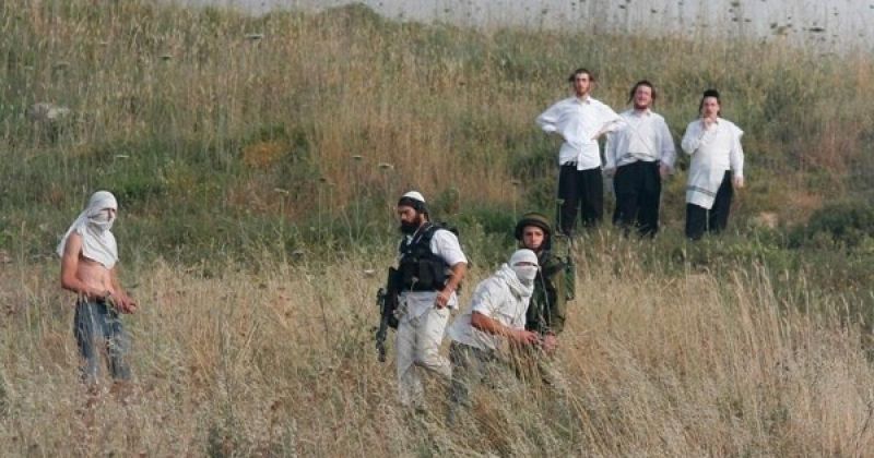 مستوطنون يقتحمون محيط منازل المواطنين في برقا شرق رام الله