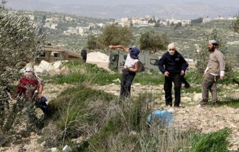 مستوطنون يعتدون على خطوط المياه في يرزا شرق طوباس