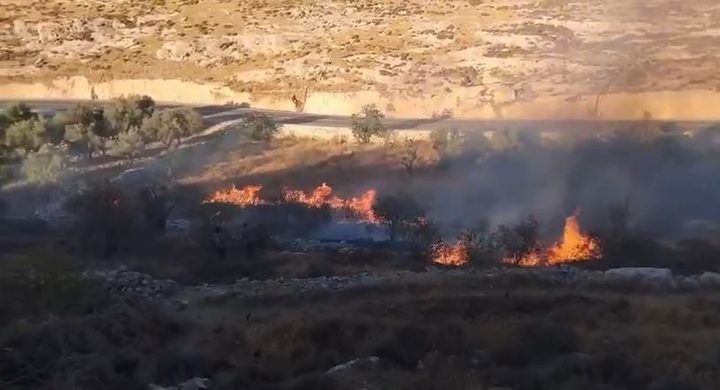 مستوطنون يضرمون النيران في أراضي برقة شمال غرب نابلس