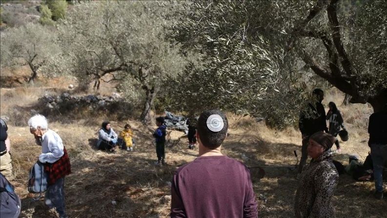 مقاومة الجدار والاستيطان: 13 اعتداء على المزارعين وأراضيهم وممتلكاتهم في 4 محافظات اليوم