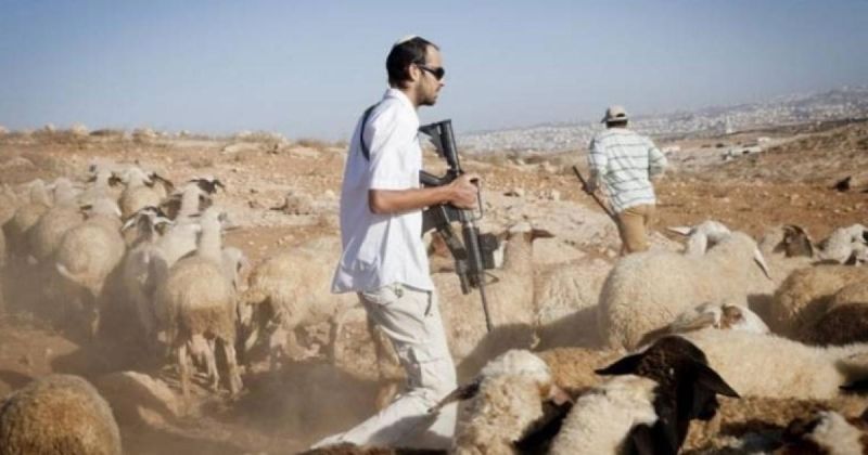 تصاعد هجمات المستوطنين في الضفة