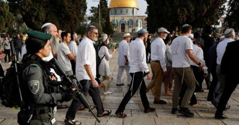 منظمات الهيكل تحشد لأكبر اقتحام للأقصى الخميس وتطالب باقتحامه ليلًا