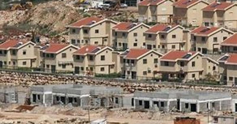 قبيل انتخابات اكتوبر.. الاستيطان الرعوي يسرع سباق السيطرة على الضفة
