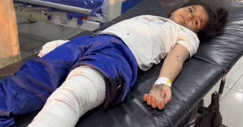 حلا لبد.. طفلة استيقظت صباح اليوم لتكتشف أن عائلتها كلها رحلت