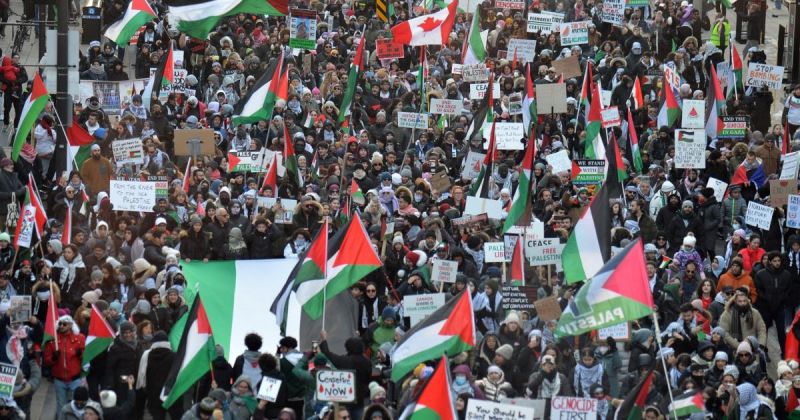 حراك شعبي دولي متواصل.. أصوات تتعالى نصرة لفلسطين وغزة
