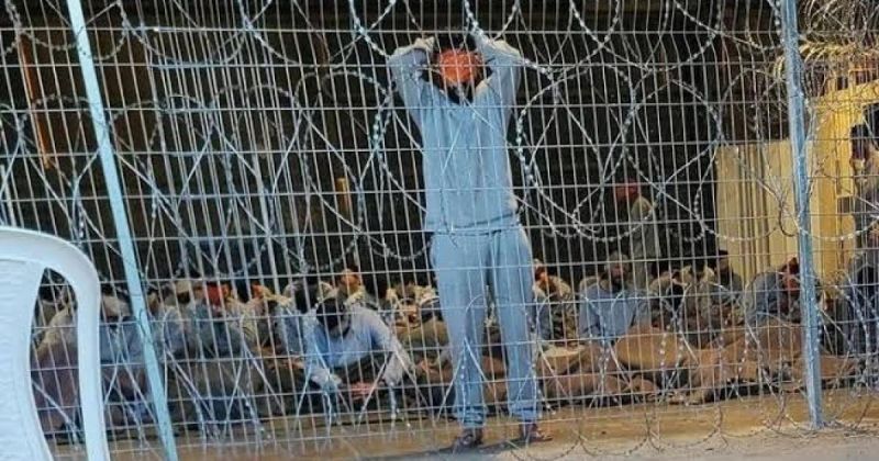 تقرير صادم يوثق جرائم الاحتلال بحق أسرى غزة: إخفاء قسري وتعذيب واستشهاد 52 معتقلًا