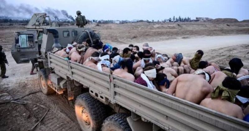الأشقر لـ "الرسالة": السجون تحولّت لـ "أفران" والأسرى يواجهون القتل البطيء