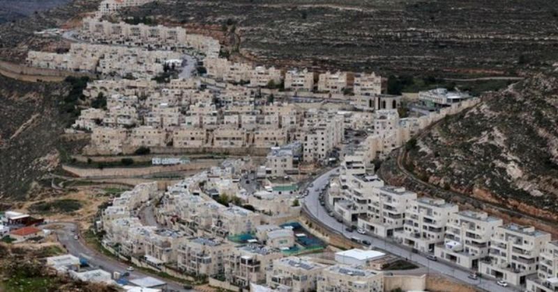 70 أكاديميًا فلسطينيًا يدعون ألمانيا لمراجعة موقفها من الاستيطان الإسرائيلي