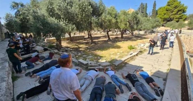 علماء فلسطين تحذر من أكبر اقتحام مخطط للمسجد الأقصى الخميس