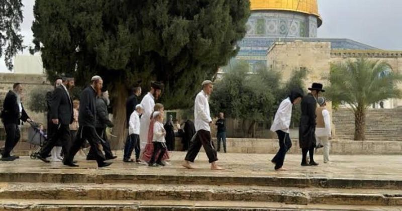 رابطة علماء فلسطين تحذر من أكبر اقتحام مخطط للمسجد الأقصى الخميس وتدعو لتحرك عاجل