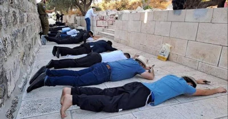 مئات المستوطنين يقتحمون عورتا ويؤدون طقوسًا تلمودية بحماية الاحتلال