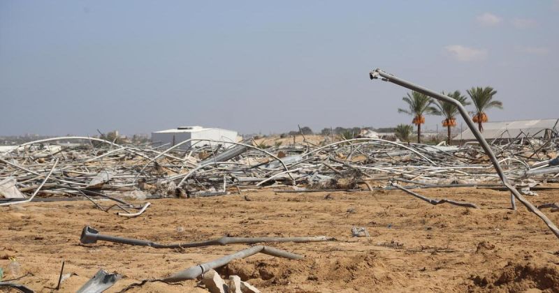 الزراعة: 87.6% من أراضي غزة الزراعية تضررت والحرب تهدد بتوقف الإنتاج