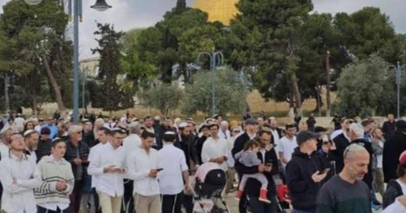 300 مستوطن يقتحمون الأقصى.. والاحتلال يحوّل منازل المواطنين لمراكز توقيف