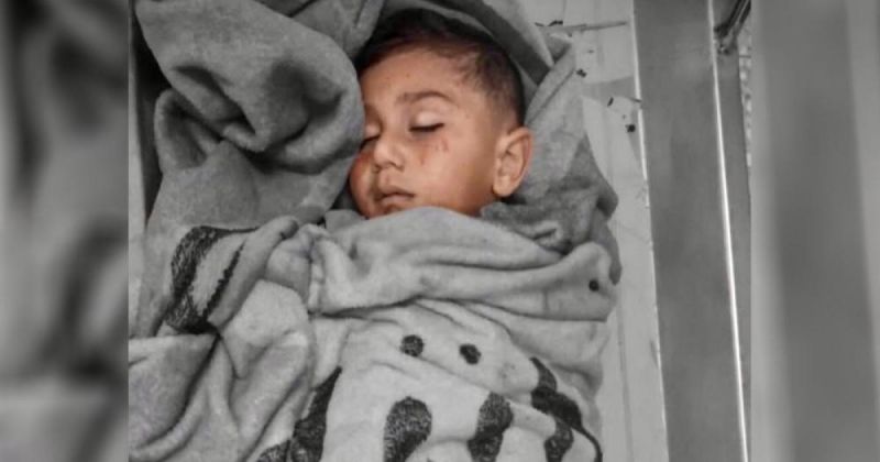 حماس: قتل الاحتلال ثلاثة أطفال في غزة خلال أقل من 24 ساعة جريمة مركبة تؤكد استمرار الإبادة