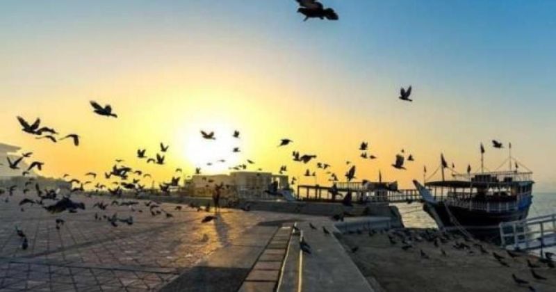 بدءاً من اليوم.. انخفاض الحرارة وأجواء خريفية باردة ليلًا