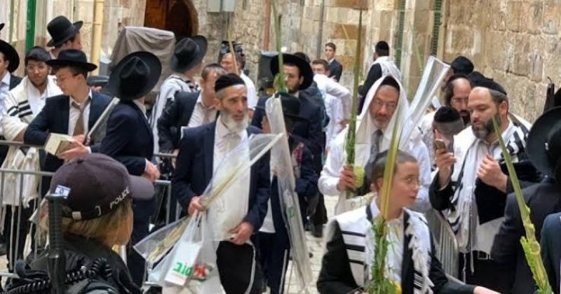 مستوطنون يقتحمون الأقصى ويرقصون في باحاته بالتزامن مع رأس السنة العبرية