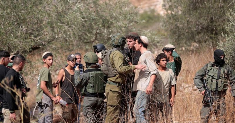مستوطنون يطاردون قاطفي الزيتون في رام الله ويخرّبون محاصيل الفلسطينيين