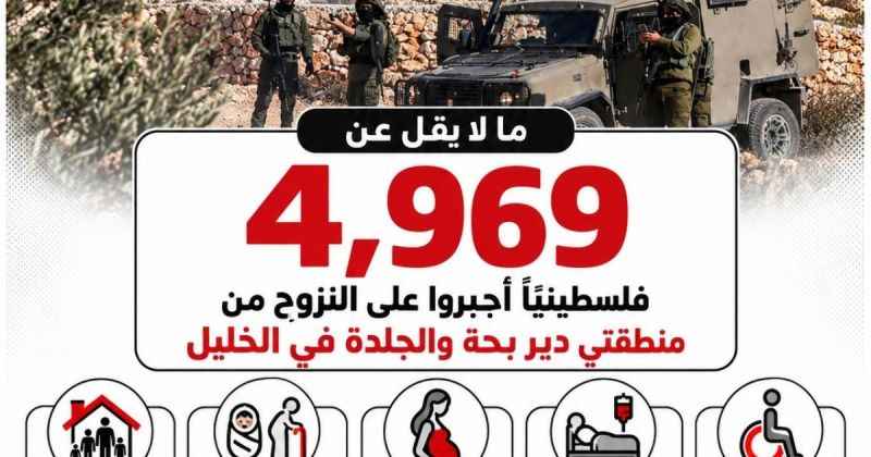 انفوجرافيك: إنفوجرافيك|  الخليل تهجير قسري بالآلاف