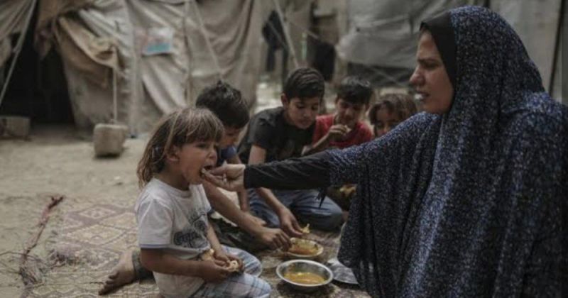 في يوم المرأة الفلسطينية.. 123 ألف أسرة تعيلها نساء في غزة