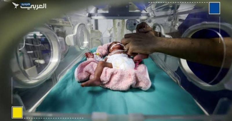 16 ألف مولود جديد في غزة خلال الربع الثالث من 2026
