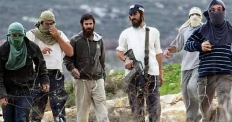داوود: المستوطنون يحاصرون التجمعات الفلسطينية لاقتلاع سكانها