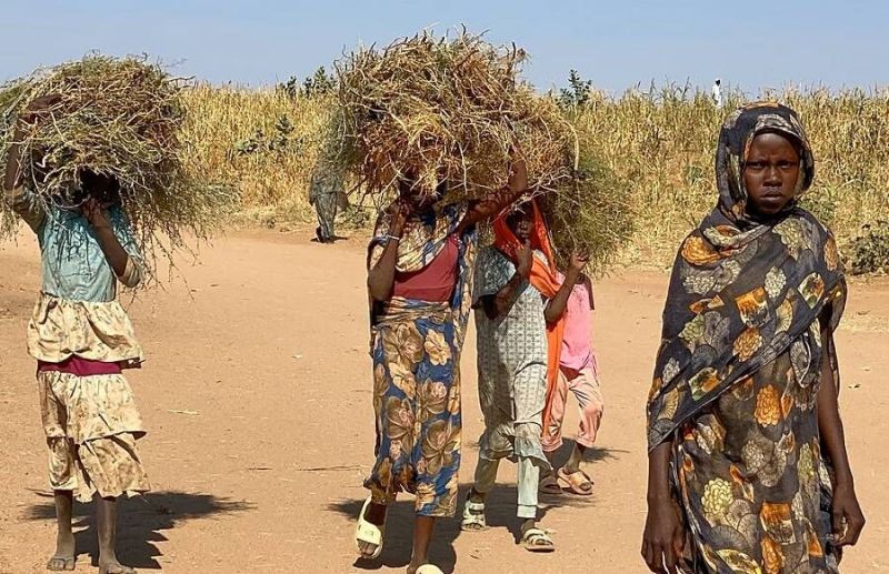 تحذيرات دولية من جفاف غير مسبوق في دارفور يهدد بمجاعة واسعة