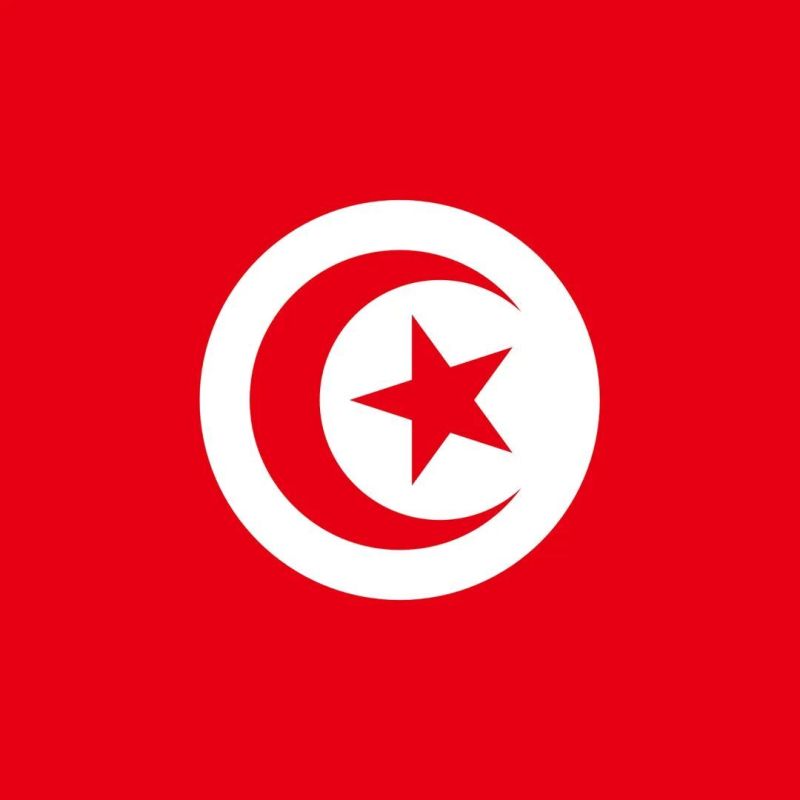 تونس تُدين الاعتداءات الصهيونية على رام الله والبيرة وتدعو المجتمع الدولي إلى التحرّك العاجل لوقف جرائم الاحتلال بحقّ الشعب الفلسطيني