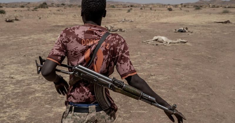 الجيش السوداني والقوة المشتركة يبسطان السيطرة على منطقة بئر سليبة الاستراتيجية بدارفور