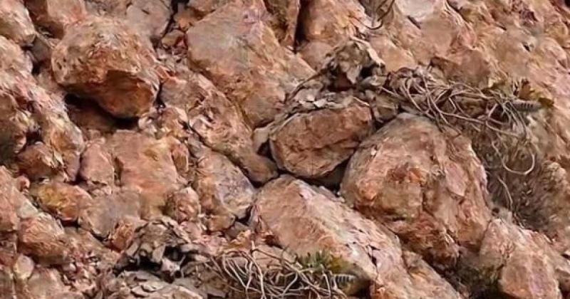 حقيقة فيديو القوات الإيرانية المتخفية في الجزر: تضليل رقمي وسط توترات مضيق هرمز