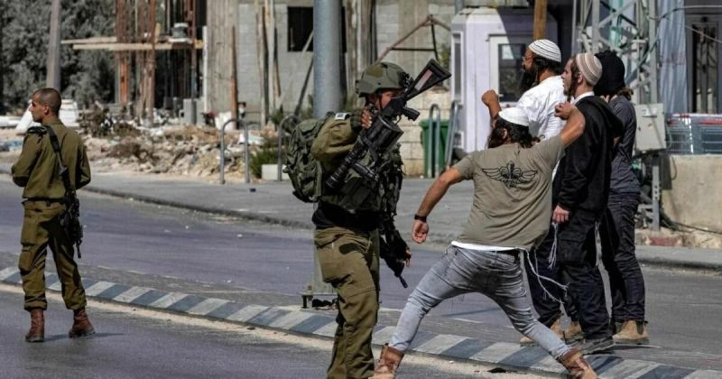 تصاعد اعتداءات المستوطنين في الضفة: اعتقالات في نابلس والخليل وتضييق على رعاة الأغوار