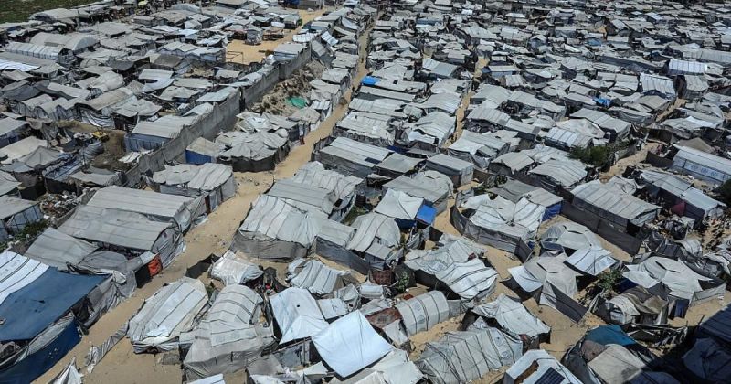 المواصي من سلة غذاء غزة إلى مخيمات نزوح: حرب الإبادة تلتهم المساحات الخضراء