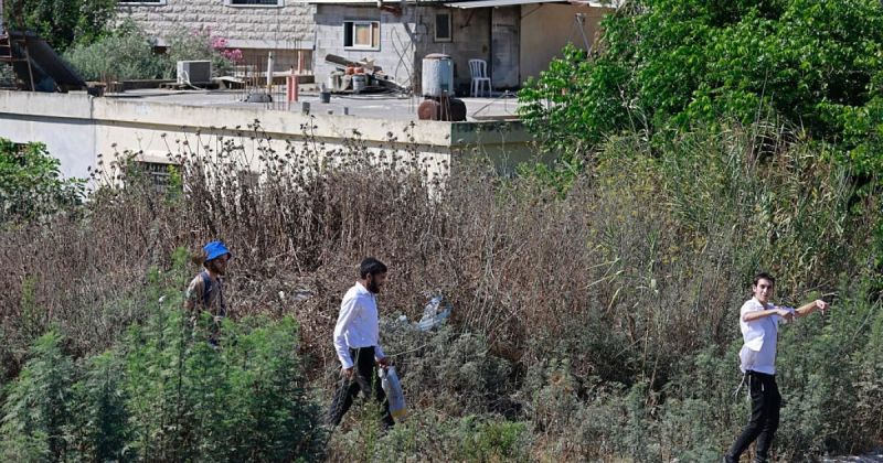 تصعيد استيطاني واسع بالضفة: إصابات في نابلس ومصادرة آلاف الدونمات وشرعنة بؤر جديدة