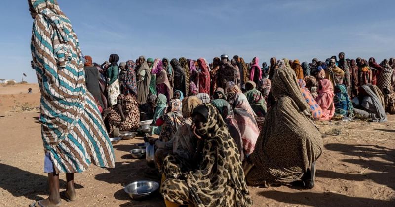 مأساة إنسانية في النهود السودانية: أعلاف الحيوانات تتحول إلى وجبة للسكان تحت الحصار