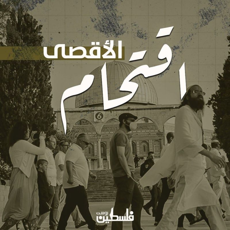 242 مستوطناً يقتحمون المسجد الأقصى ويؤدون طقوسا تلمودية في باحاته