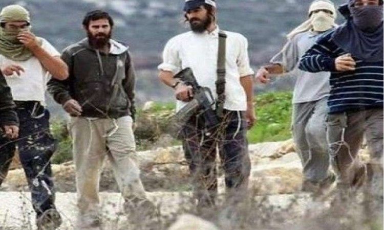 مستوطنون يرعون أغنامهم في أراضي المواطنين شرق رام الله