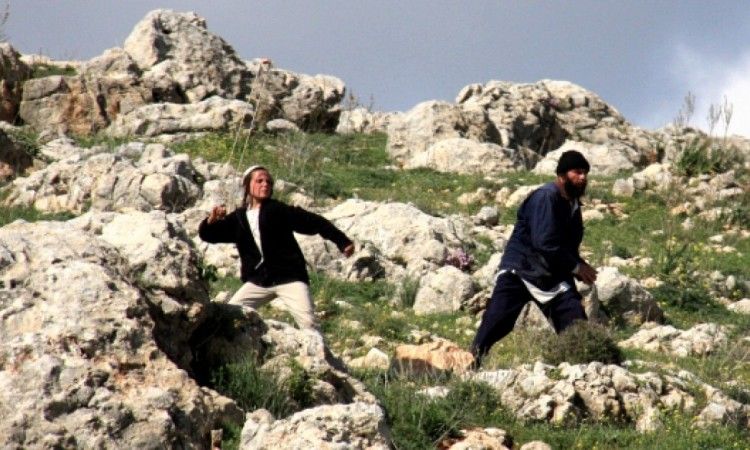 مستوطنون يقتحمون الرشايدة شرق بيت لحم