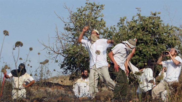 إصابات في هجوم للمستوطنين على عائلة بمسافر يطا جنوب الخليل