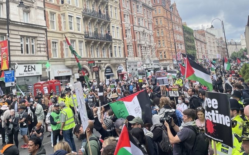 رغم الخسائر.. فلسطين تتحول إلى قضية مركزية في الثقافة والسياسة الغربية