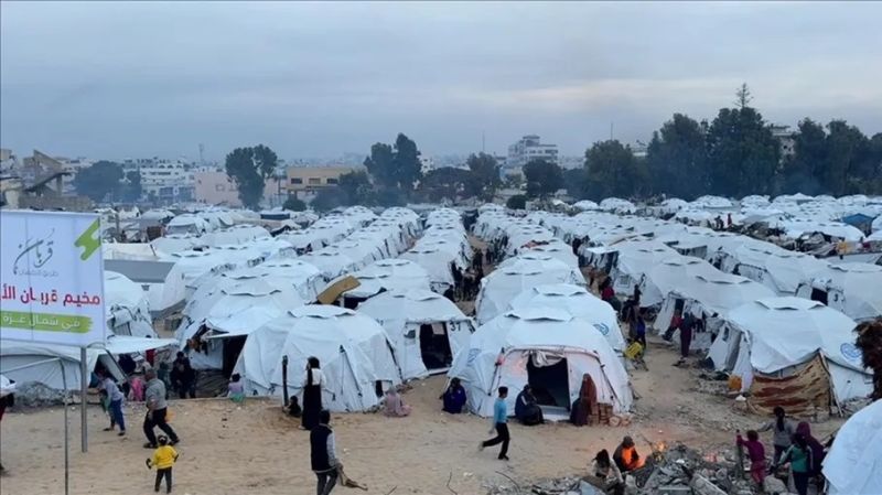 بين الحشرات والحرارة.. معركة يومية لحماية رغيف الخبز في غزة