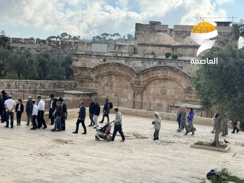 143 مستوطنًا يقتحمون الأقصى ويؤدون طقوسًا تلمودية بحماية الاحتلال