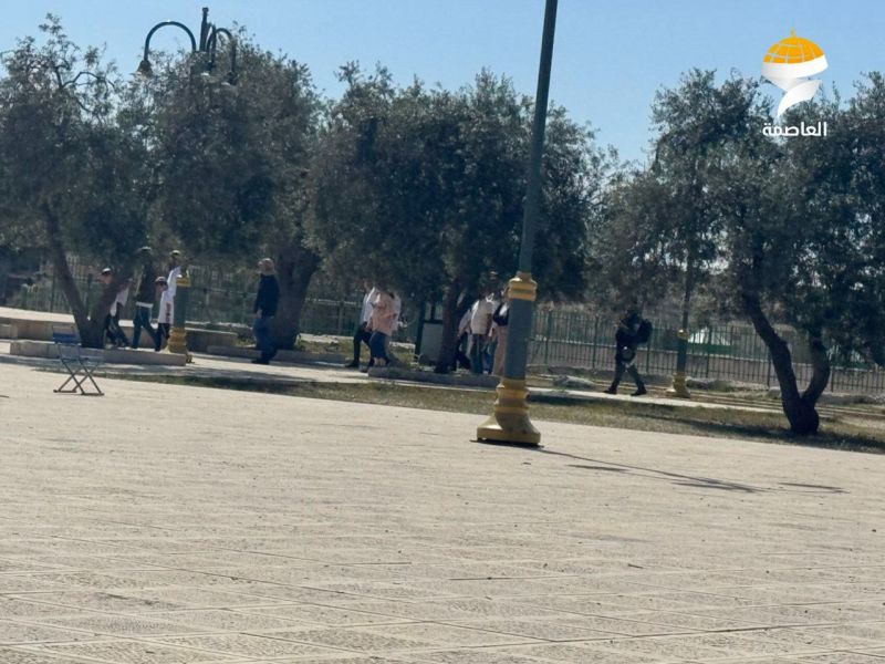 إدانات عربية وإسلامية لاقتحامات الأقصى وتصريحات الضم الإسرائيلية