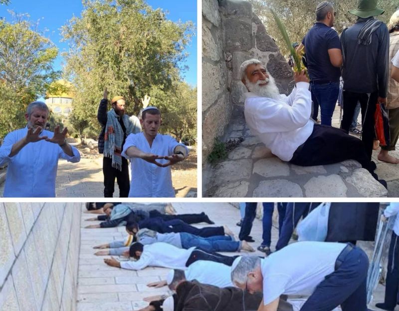 مستوطنون يصعّدون اقتحامات الأقصى ويؤدون طقوسًا تلمودية تحت حماية الاحتلال