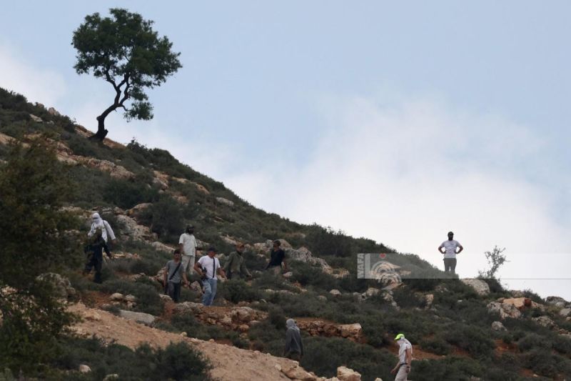مستوطنون يهاجمون مزارعين في المغير والاحتلال يعتقل شابين