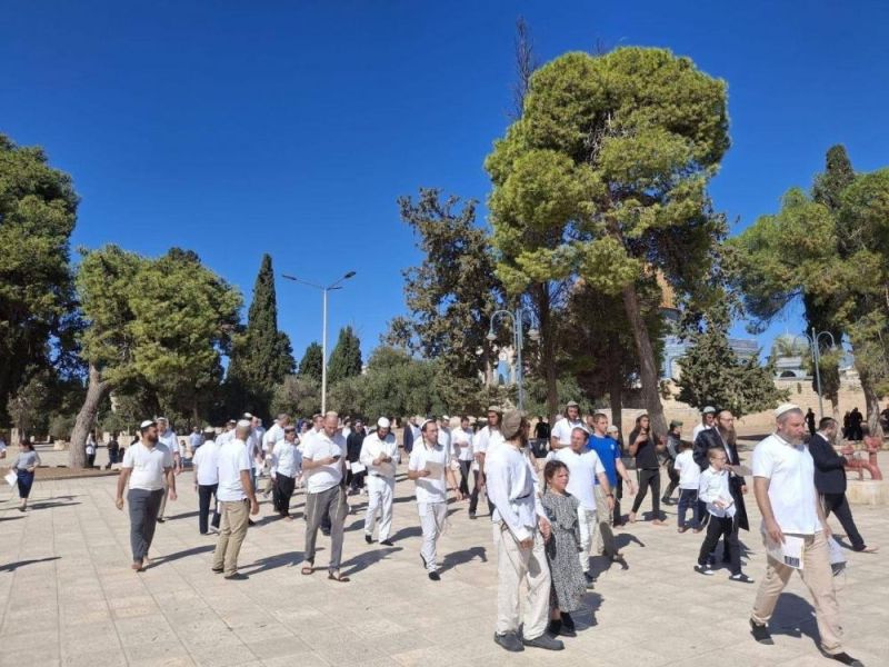 1500 مستوطن يقتحمون الأقصى في ثاني أيام “عيد العرش” وسط طقوس تلمودية
