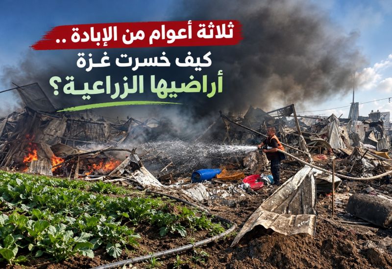 ثلاثة أعوام من الإبادة .. كيف خسرت غزة أراضيها الزراعية؟