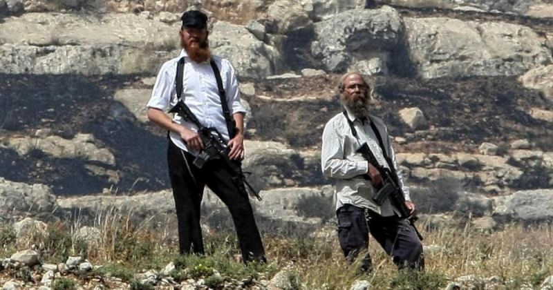 مستوطنون مسلحون يهاجمون المزارعين في حلحول شمال الخليل