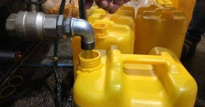 المفتي العام يدعو لإخراج زكاة الزيتون