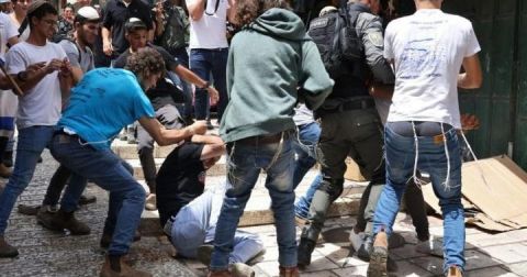إصابة 3 مواطنين بالضرب إثر هجوم المستوطنين في قرى محافظة نابلس 